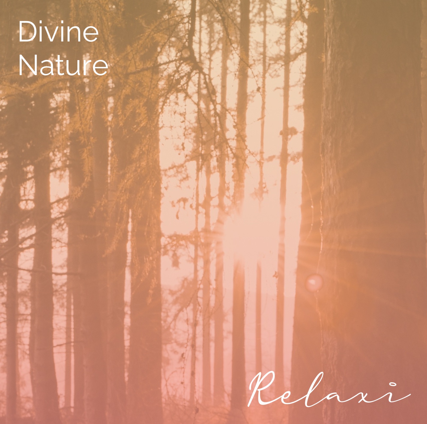 divine-nature-1198566